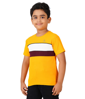 Boys Roundneck Half Sleeve Tshirts