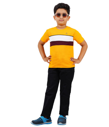 Boys Roundneck Half Sleeve Tshirts