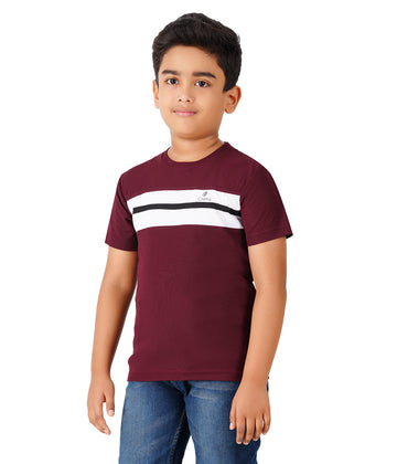 Boys Roundneck Half Sleeve Tshirts