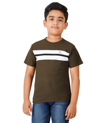 Boys Roundneck Half Sleeve Tshirts